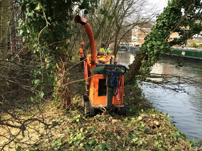 Canal tree clearance, Milton Keynes