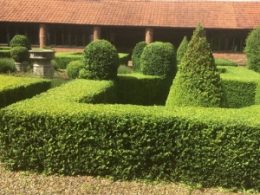 Parterre Hedge Trimming, Towcester