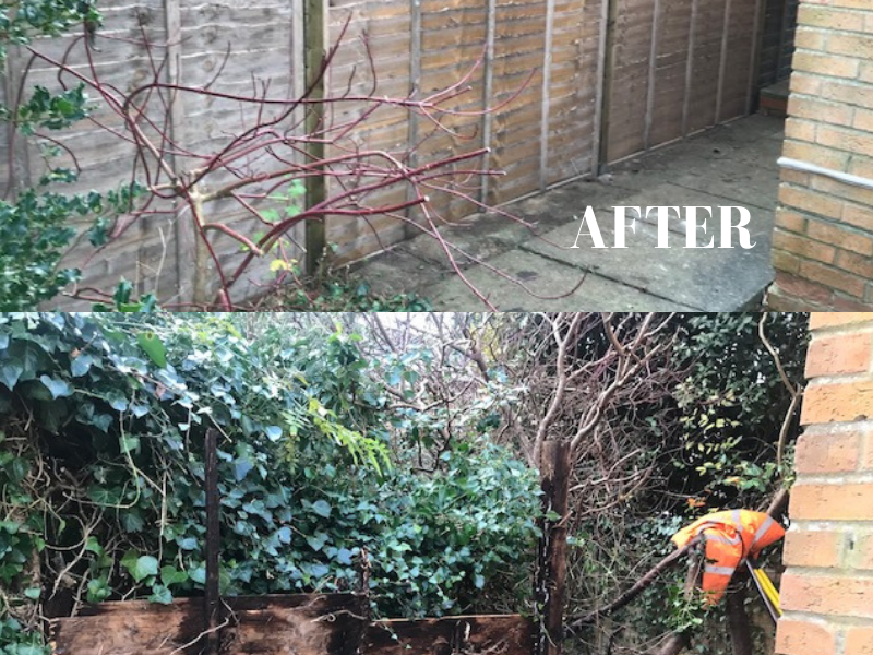 Fence Installed Towcester, before and after