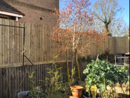 Wooden Fencing installation Towcester